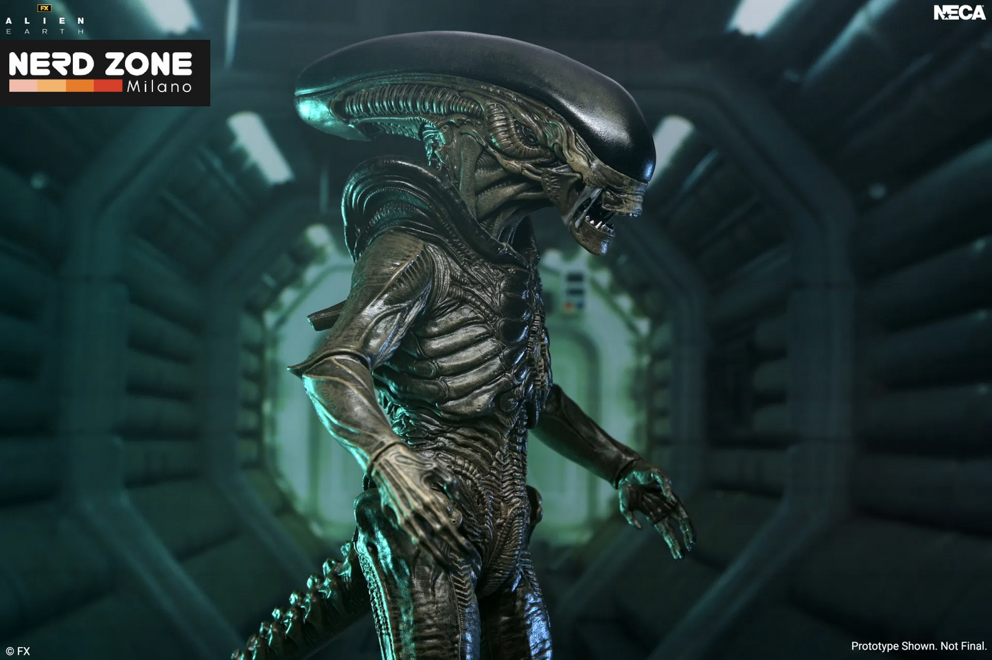 PRE ORDINE - NECA - Alien Earth Xenomorph Ultimate Action Figure