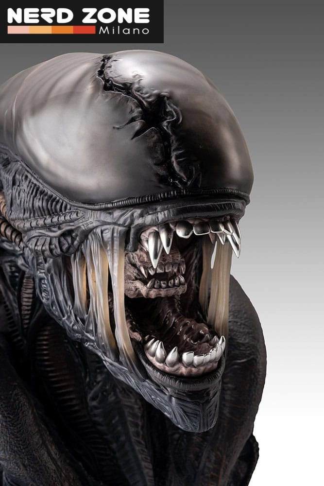 HOLLYWOOD COLLECTIBLES - Alien Romulus Bust 1/1 Xenomorph 53 cm