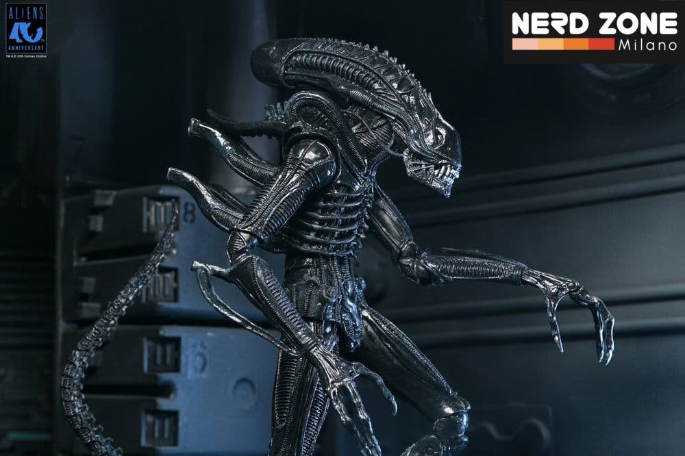 PRE ORDINE - NECA Aliens Ultimate Action Figure Warrior (1986) Xenomorph Black (40th Anniversary) 23 cm
