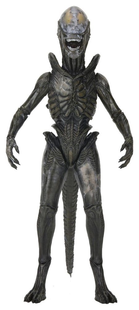 PRE ORDINE - Alien: Earth Ultimate Action Figure Wendy's Xenomorph 18 cm