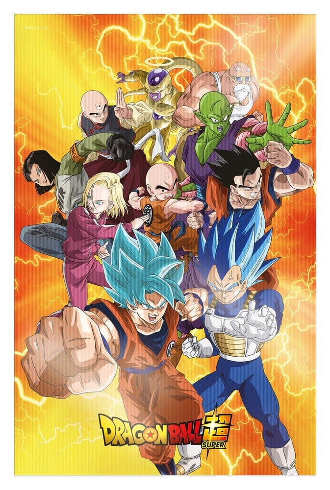 PRE ORDINE - Dragon Ball Super 3D Poster Survival Heroes 38 x 58 cm