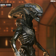 PRE ORDINE - NECA - Alien Earth Wendy Xenomorph Ultimate Action Figure