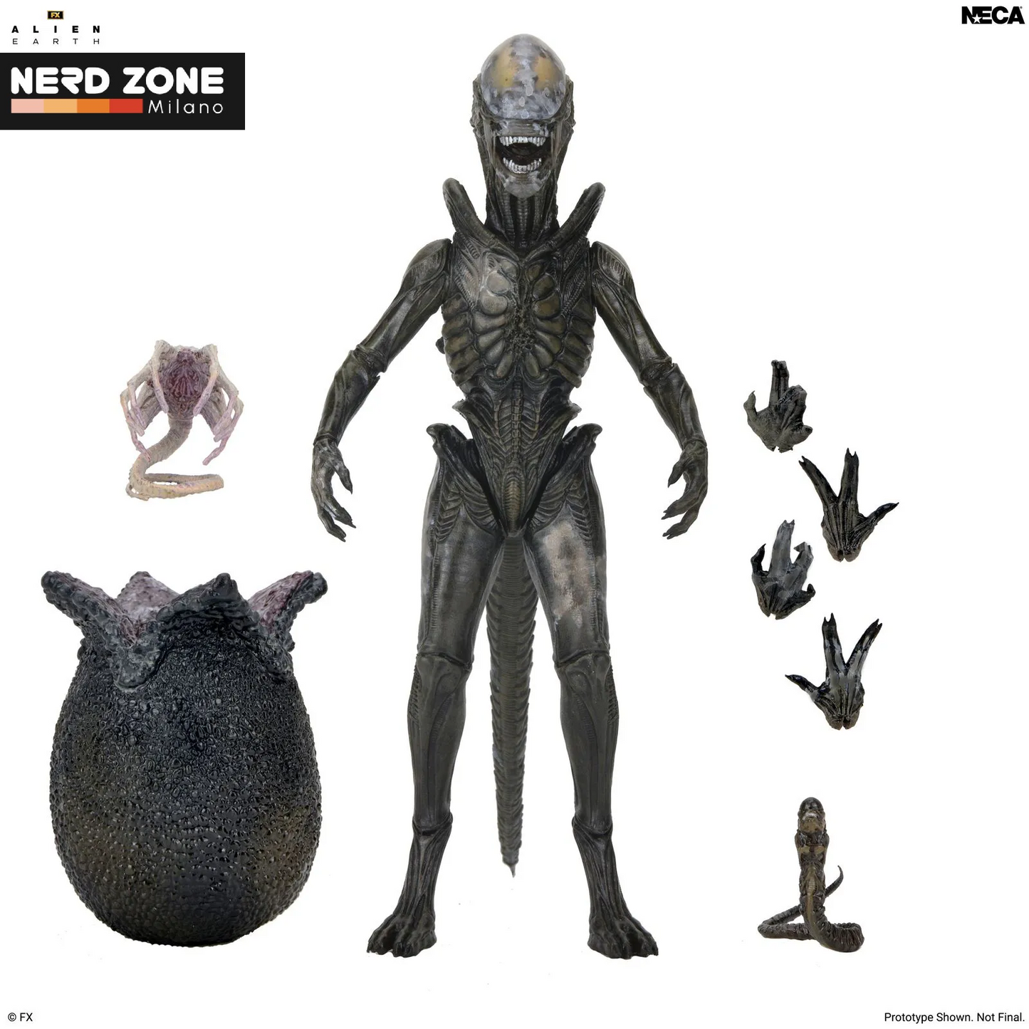PRE ORDINE - NECA - Alien Earth Wendy Xenomorph Ultimate Action Figure