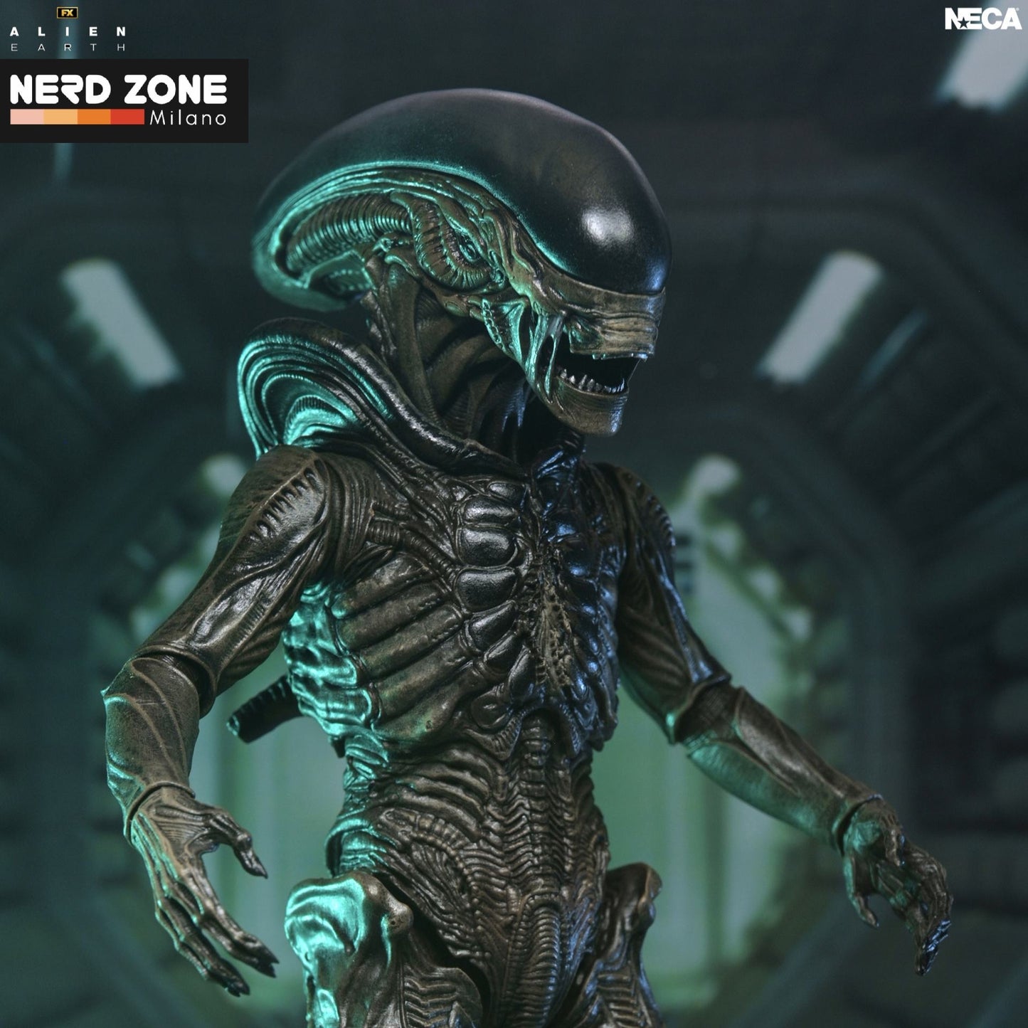 PRE ORDINE - NECA - Alien Earth Xenomorph Ultimate Action Figure