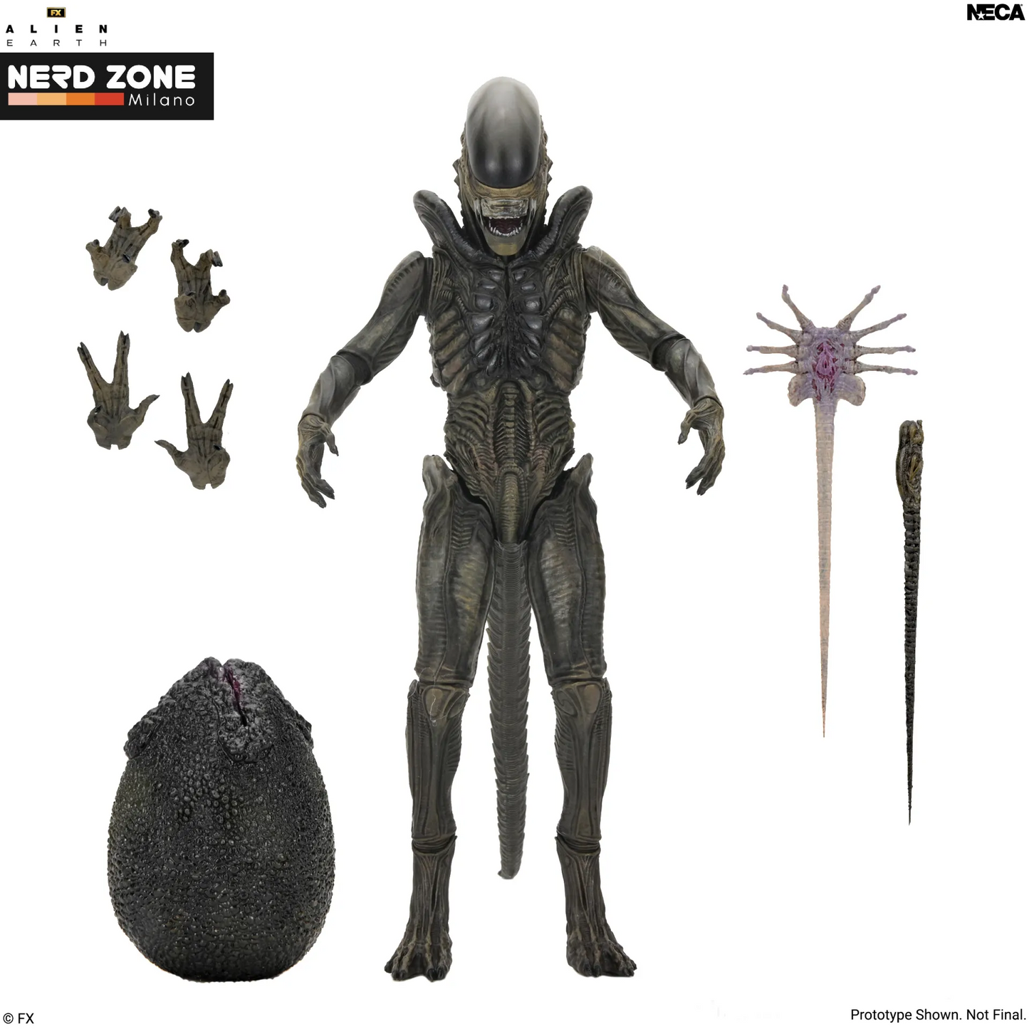 PRE ORDINE - NECA - Alien Earth Xenomorph Ultimate Action Figure