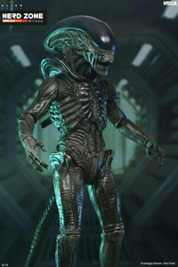 PRE ORDINE - NECA - Alien Earth Xenomorph Ultimate Action Figure
