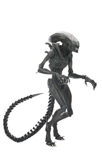 NECA - Alien Romulus Scorched Xenomorph Ult AF
