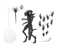 NECA - Alien Romulus Scorched Xenomorph Ult AF