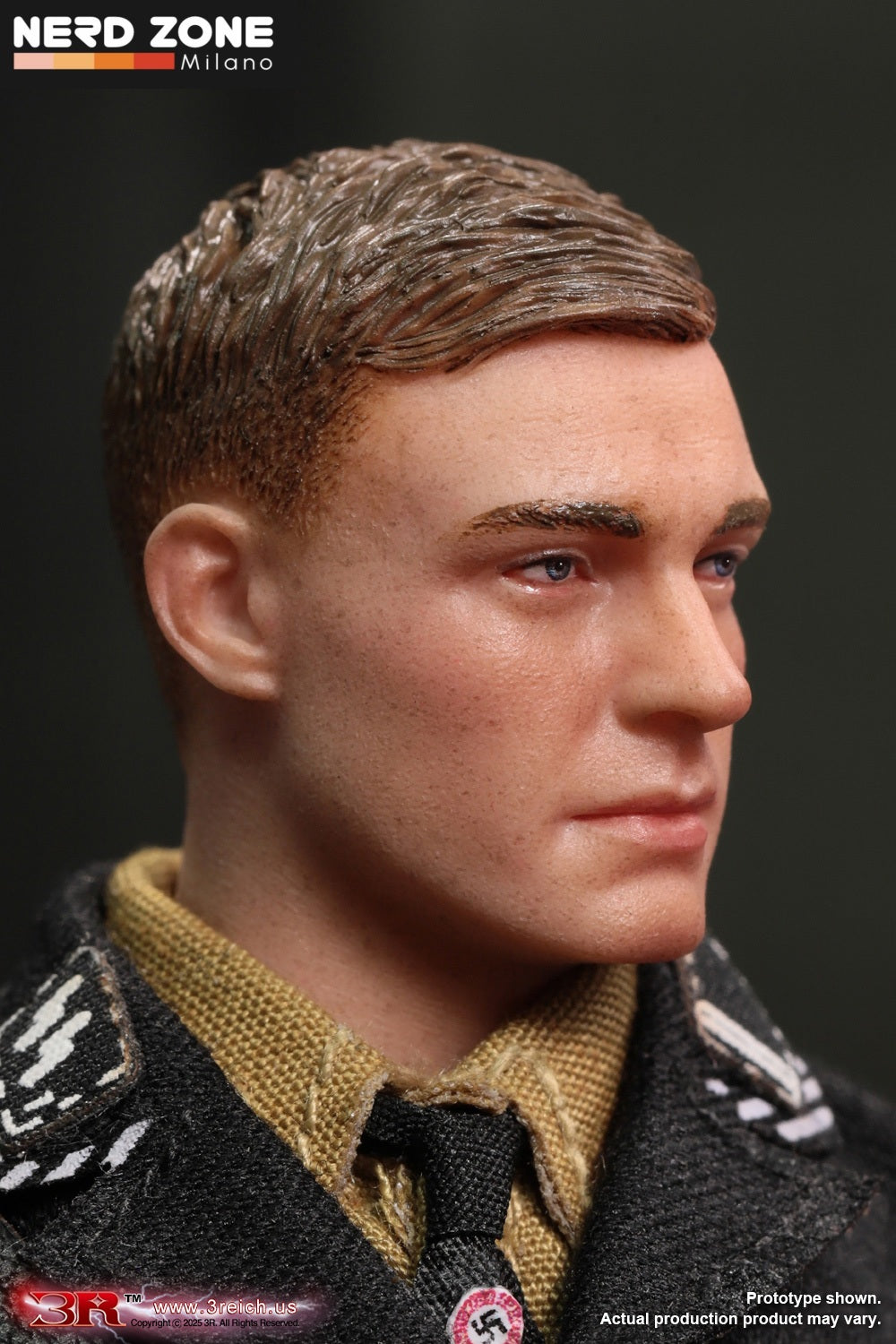 DID/3R - TG80005, 1/12 Mini Reich Series - WWII German SS Honor Guard - Archard