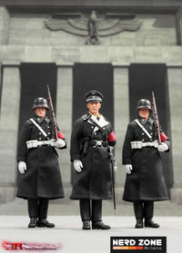 DID / 3R - WWII German SS Honor Guard 1/12 Scale (White Version) Mini Reich Series TG80007