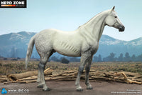 PRE ORDINE - DID E60086 1/6 Civil War White War Horse (Standing)