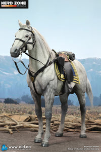 PRE ORDINE - DID E60086 1/6 Civil War White War Horse (Standing)