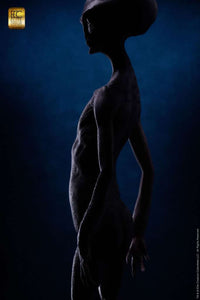 ELITE CREATURE COLLECTIBLES - Reptilian Gray Maquette by Steve Wang Statue 
