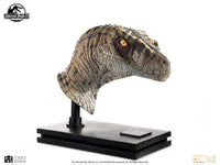 ELITE CREATURE COLLECTIBLES - Jurassic Park 3 Female Velociraptor White Queen Bust 1:1