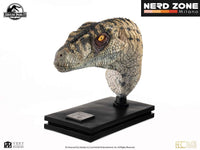 ELITE CREATURE COLLECTIBLES - Jurassic Park 3 Female Velociraptor White Queen Bust 1:1