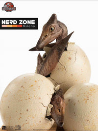 ELITE CREATURE COLLECTIBLES - Jurassic Park Hatching Pterosaur Replica