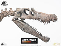 ELITE CREATURE COLLECTIBLES - Jurassic Park III Elite Creature Line Statue 1/12 Spinosaurus Skeleton Bronze 99 cm