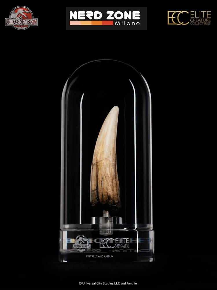 PRE ORDER ELITE CREATURE COLLECTIBLES - Jurassic Park III Prop Replica 1/1 Spinosaurus Tooth 14 cm
