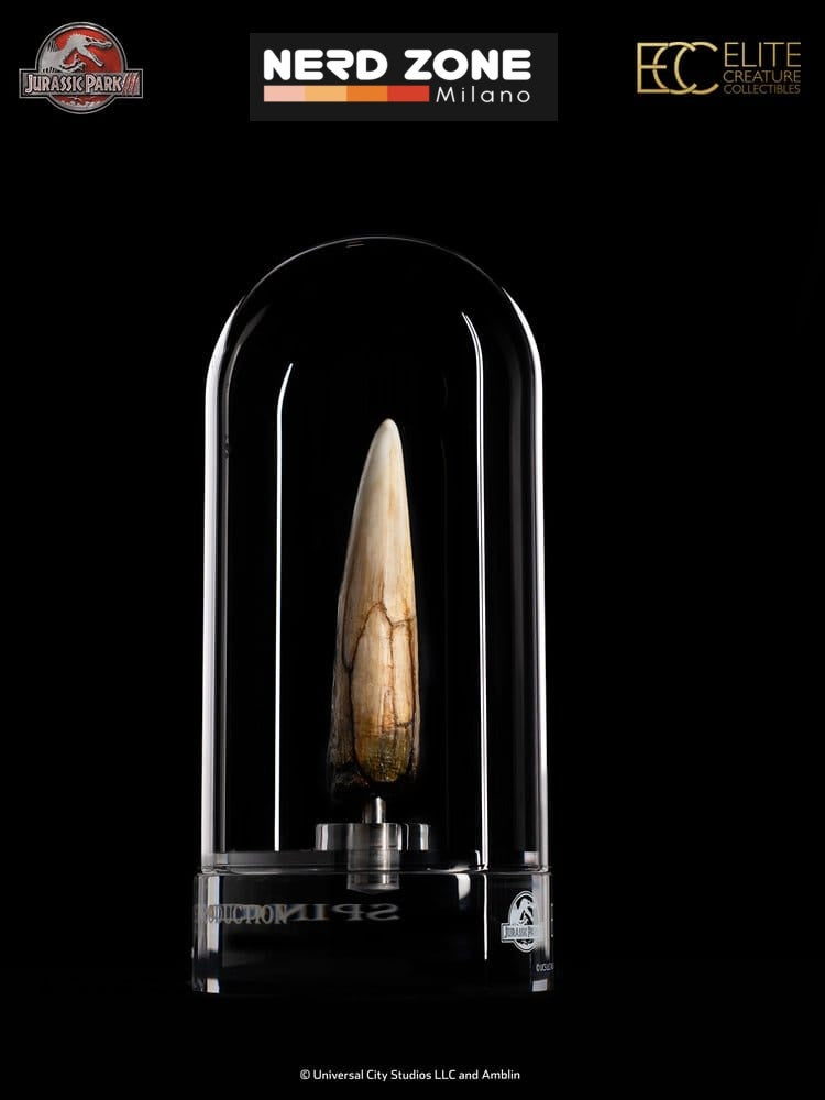 PRE ORDER ELITE CREATURE COLLECTIBLES - Jurassic Park III Prop Replica 1/1 Spinosaurus Tooth 14 cm