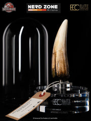 PRE ORDER ELITE CREATURE COLLECTIBLES - Jurassic Park III Prop Replica 1/1 Spinosaurus Tooth 14 cm