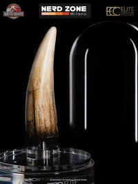 PRE ORDER ELITE CREATURE COLLECTIBLES - Jurassic Park III Prop Replica 1/1 Spinosaurus Tooth 14 cm