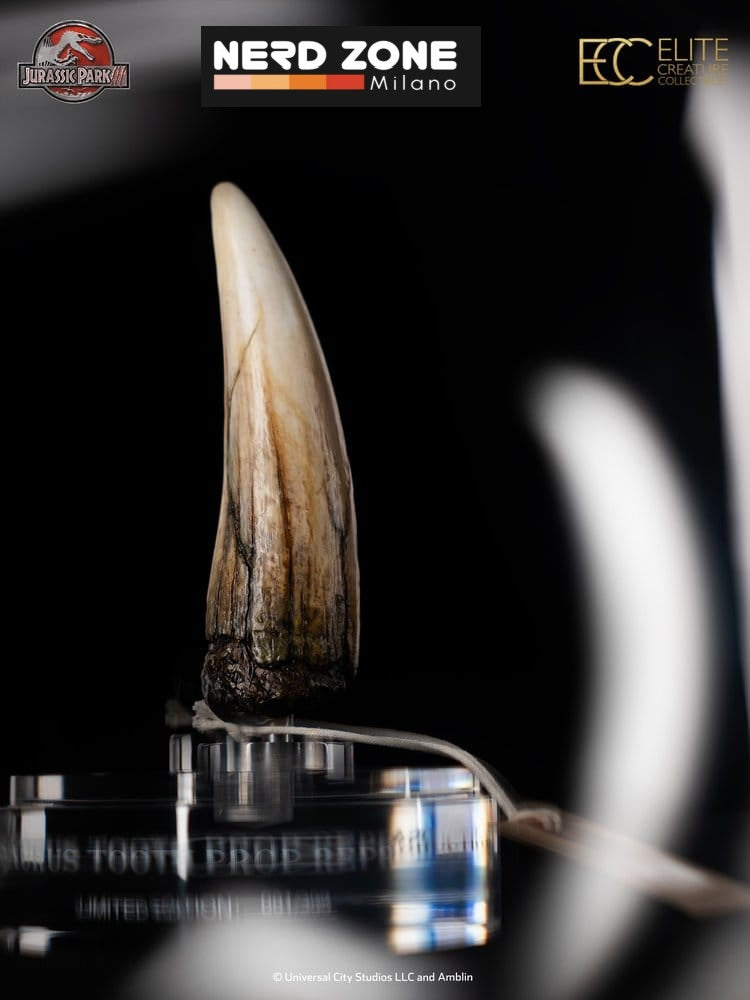 PRE ORDER ELITE CREATURE COLLECTIBLES - Jurassic Park III Prop Replica 1/1 Spinosaurus Tooth 14 cm