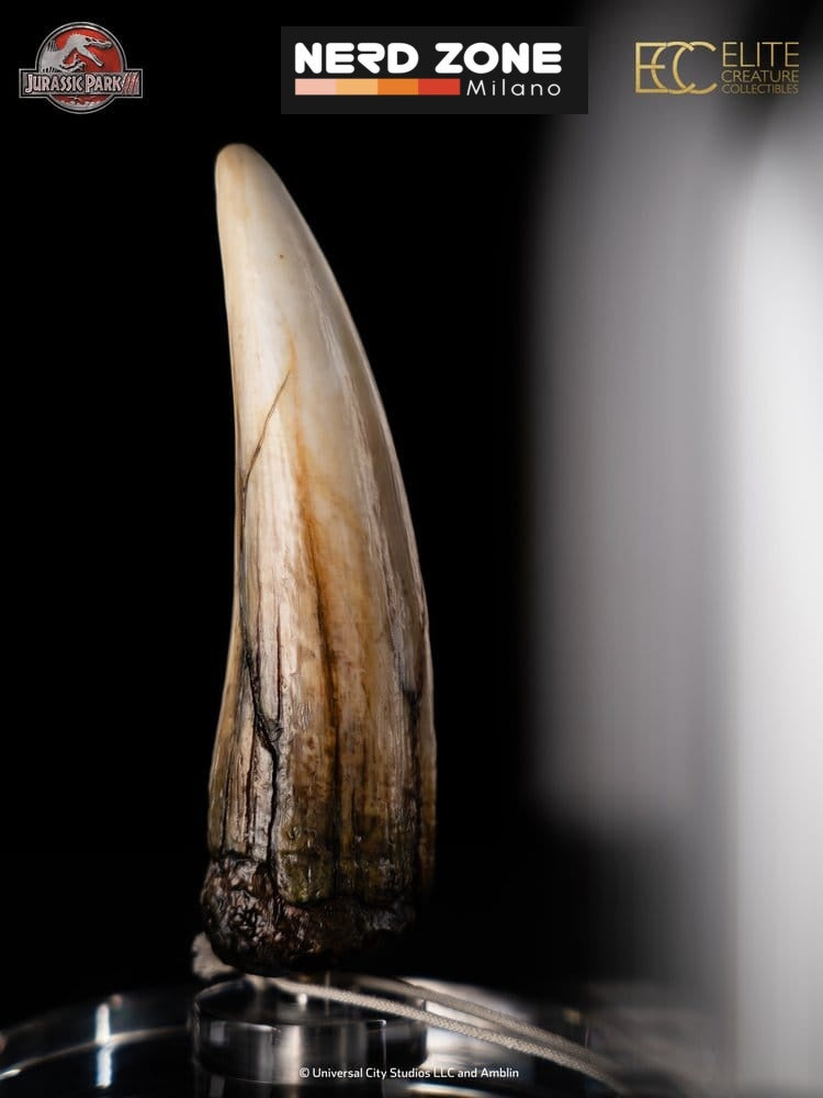 PRE ORDER ELITE CREATURE COLLECTIBLES - Jurassic Park III Prop Replica 1/1 Spinosaurus Tooth 14 cm