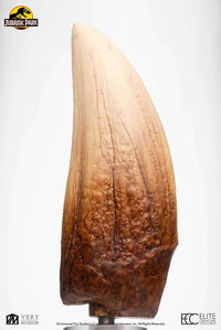 ELITE CREATURE COLLECTIBLES - Jurassic Park Screen Used T-Rex Tooth Reproduction 1:1
