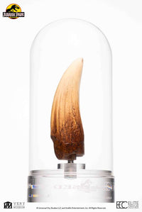 ELITE CREATURE COLLECTIBLES - Jurassic Park Screen Used T-Rex Tooth Reproduction 1:1