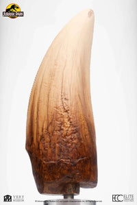 ELITE CREATURE COLLECTIBLES - Jurassic Park Screen Used T-Rex Tooth Reproduction 1:1