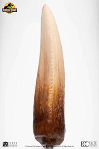 ELITE CREATURE COLLECTIBLES - Jurassic Park Screen Used T-Rex Tooth Reproduction 1:1