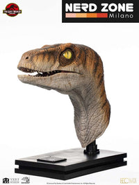 ELITE CREATURE COLLECTIBLES - Jurassic Park The Lost World Male Velociraptor Bust 1:1