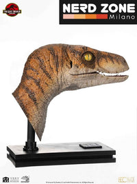 ELITE CREATURE COLLECTIBLES - Jurassic Park The Lost World Male Velociraptor Bust 1:1