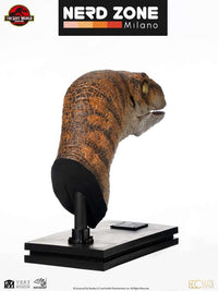 ELITE CREATURE COLLECTIBLES - Jurassic Park The Lost World Male Velociraptor Bust 1:1