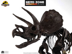 PRE ORDER - ELITE CREATURE COLLECTIBLES - Jurassic Park Triceratops Fossil Skeleton 1:12 Bronze Statue