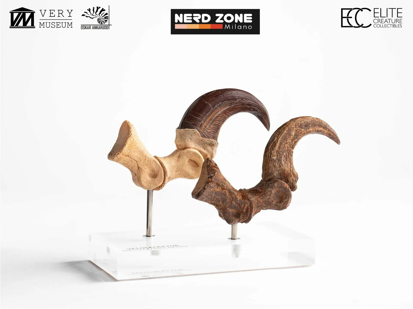 PRE ORDER ELITE CREATURE COLLECTIBLES - Jurassic Park Velociraptor Foot Claw And Fossil Claw Set