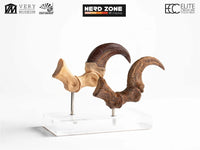 PRE ORDER ELITE CREATURE COLLECTIBLES - Jurassic Park Velociraptor Foot Claw And Fossil Claw Set