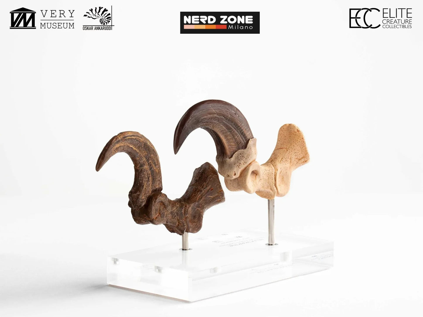 PRE ORDER ELITE CREATURE COLLECTIBLES - Jurassic Park Velociraptor Foot Claw And Fossil Claw Set