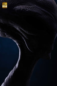 ELITE CREATURE COLLECTIBLES - Reptilian Grey Life Size Bust 1:1 (Art of Steve Wang)