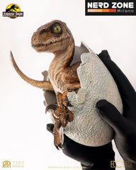 PRE ORDINE ELITE CREATURE COLLECTIBLES Jurassic Park Replica Bust Velociraptor Hatching Egg 24 cm