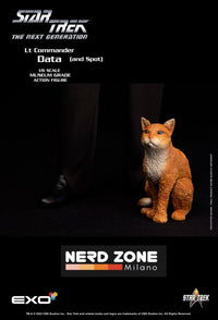 EXO-6 - Star Trek: The Next Generation Action Figure 1/6 Lt. Commander Data (Standard Version) 30 cm