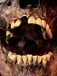 The Goonies – One-Eyed Willy Skull – 1:1 Scale Anniversary Edition