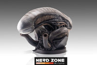 HOLLYWOOD COLLECTIBLES - Alien Romulus Bust 1/1 Xenomorph 53 cm