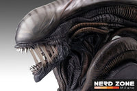 HOLLYWOOD COLLECTIBLES - Alien Romulus Bust 1/1 Xenomorph 53 cm
