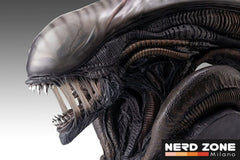 HOLLYWOOD COLLECTIBLES - Alien Romulus Bust 1/1 Xenomorph 53 cm