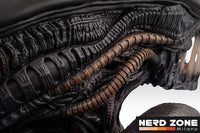 HOLLYWOOD COLLECTIBLES - Alien Romulus Bust 1/1 Xenomorph 53 cm