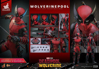 HOT TOYS - Deadpool & Wolverine Movie Masterpiece Action Figure 1/6 Wolverinepool Hot Toys Exclusive 31 cm