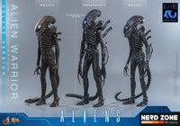 PRE ORDINE - HOT TOYS - Alien Movie Masterpiece Action Figure 1/6 Alien Warrior (Deluxe Version) 39 cm