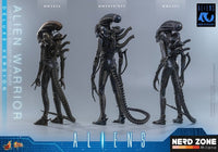 PRE ORDINE - HOT TOYS - Alien Movie Masterpiece Action Figure 1/6 Alien Warrior (Deluxe Version) 39 cm