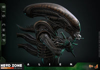 HOT TOYS - Alien Movie Masterpiece Action Figure 1/6 Big Chap 36 cm (MMS826)